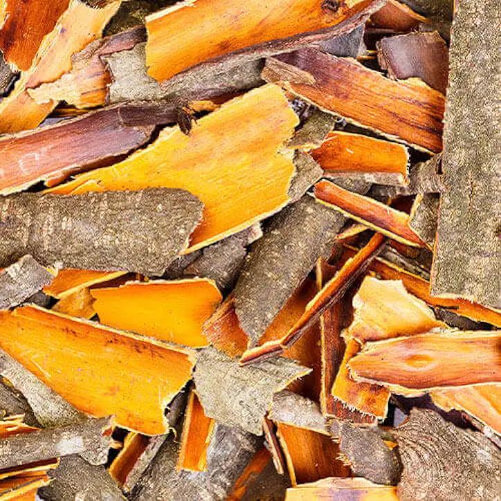 buckthorn bark