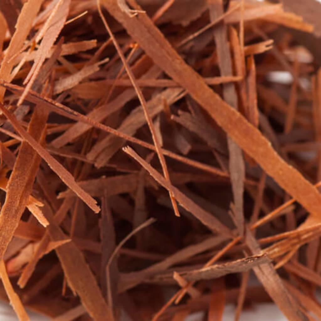 Ra&#237;z de Echinacea purpurea