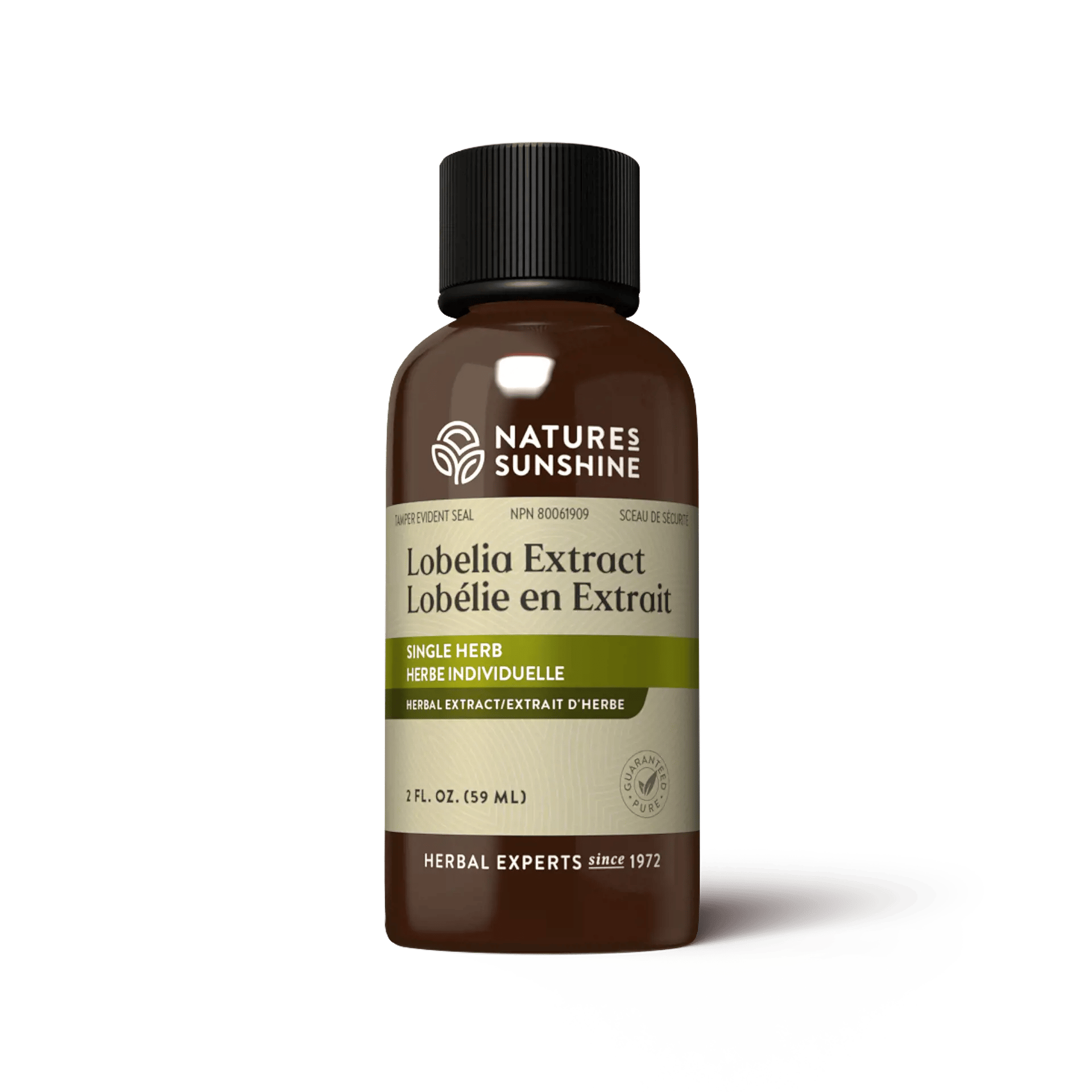 Lobelia  Herb Ext.