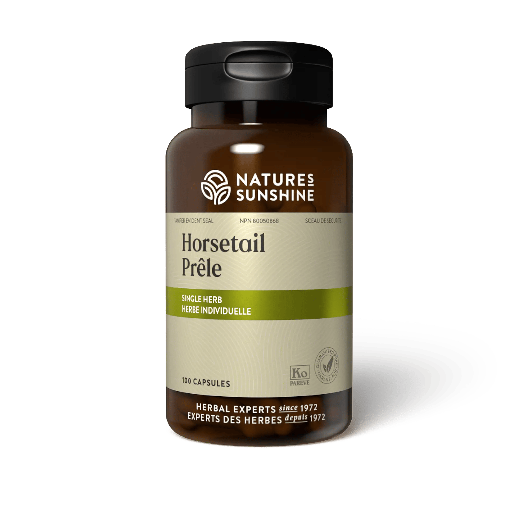 Horsetail