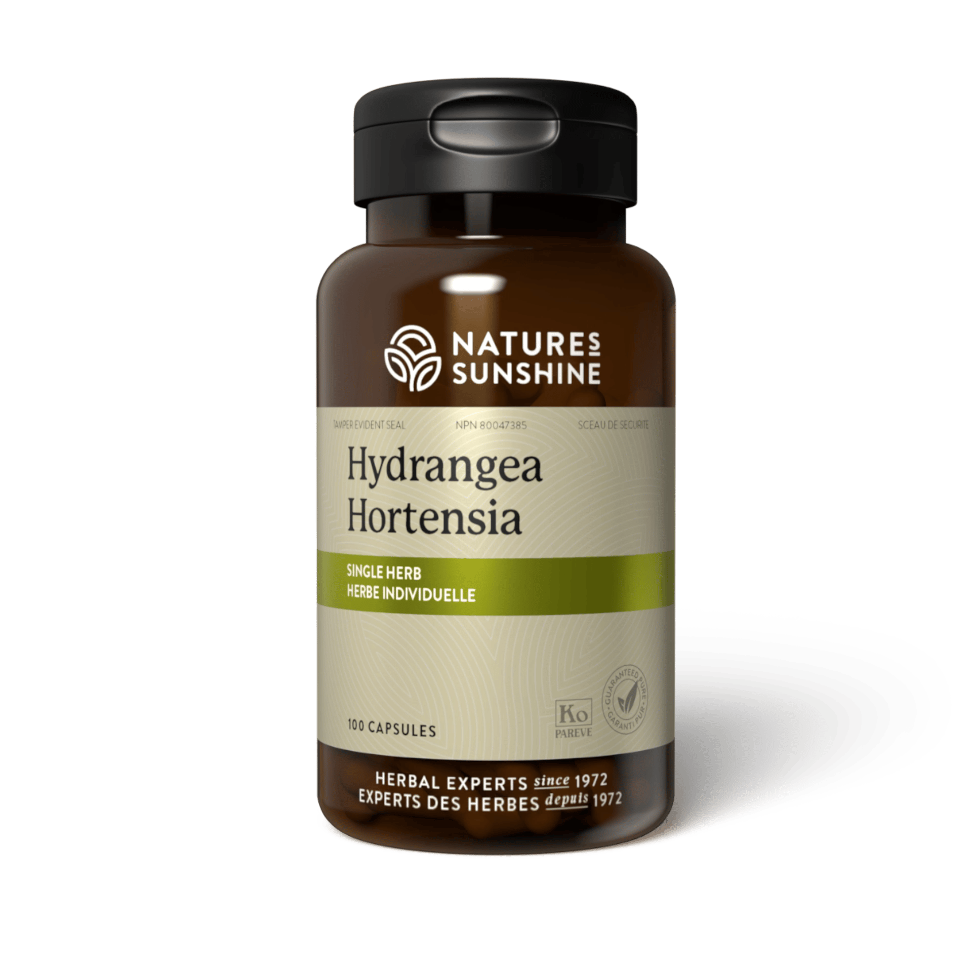 Lcn395_Hydrangea-bottle.png
