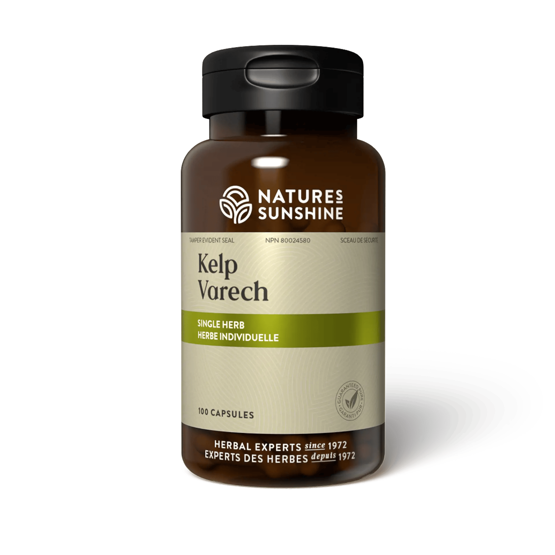 Kelp  Single Herb