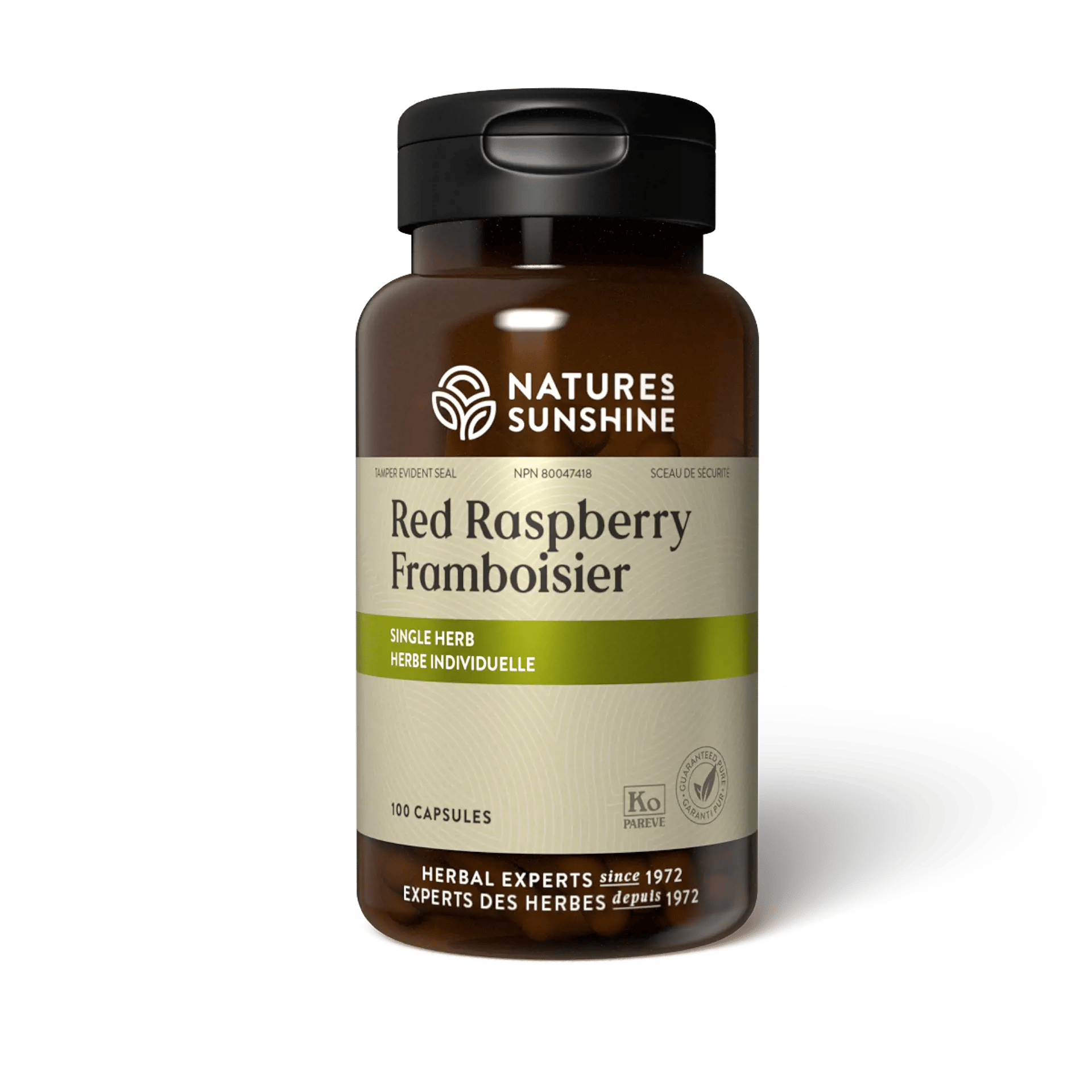 Red Raspberry  Single Herb