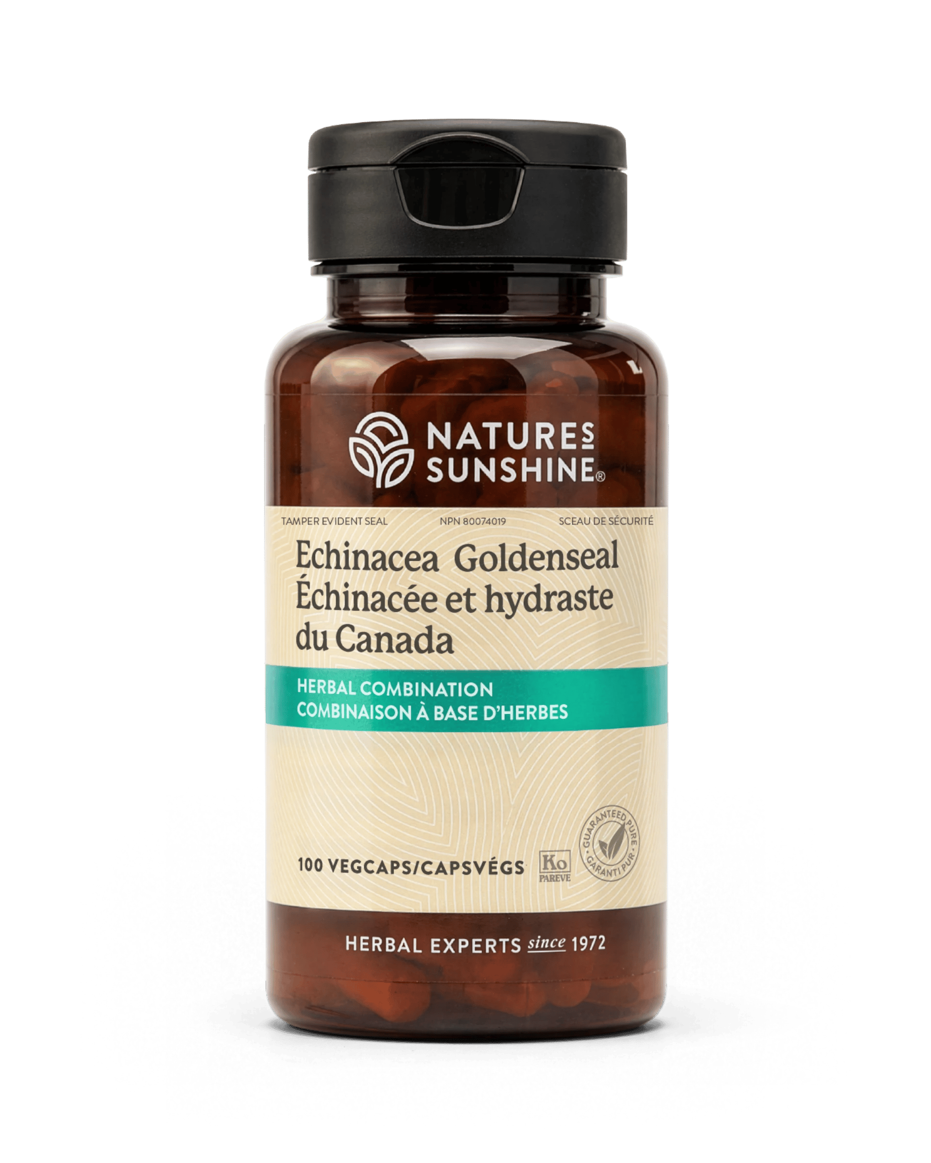 Nature's Sunshine Echinacea and Golden Seal bottle, 100 Capsules