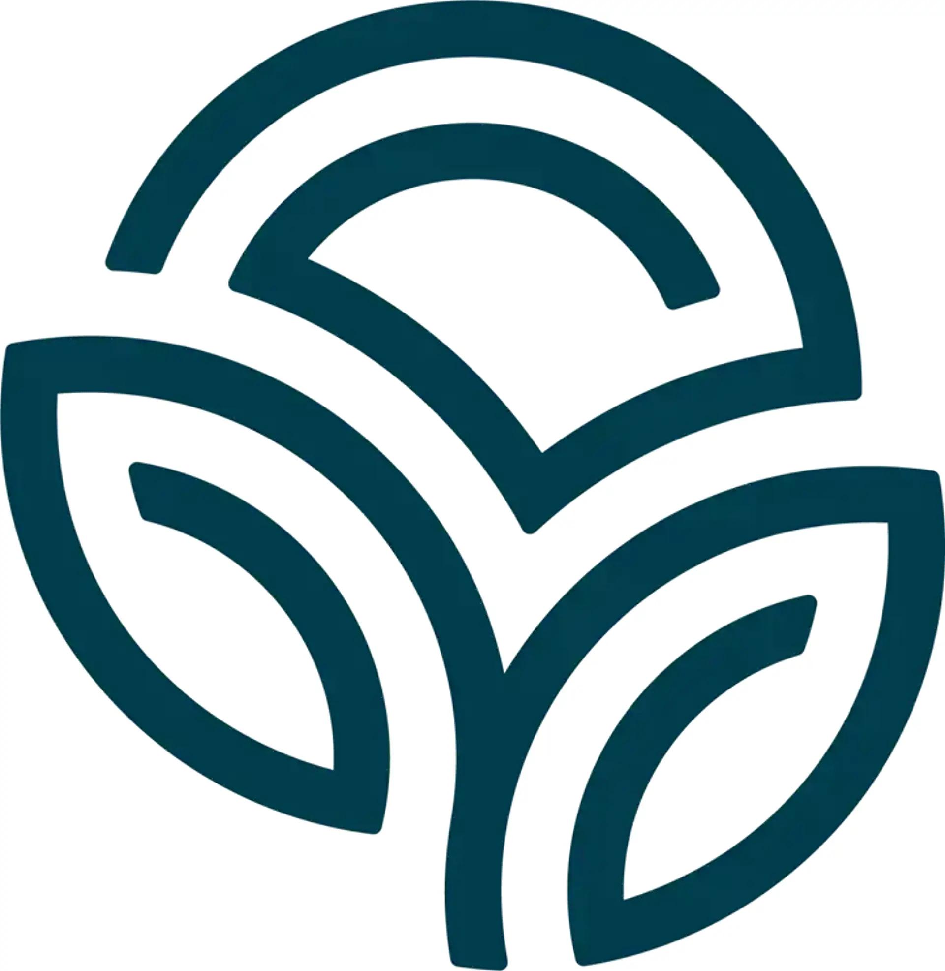 NSP Logo